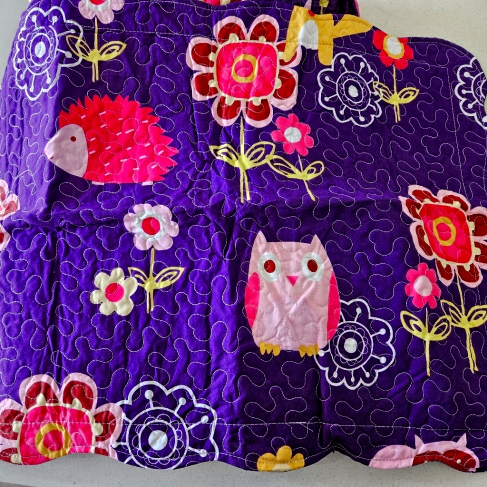 Twin size quilt and pillow sham